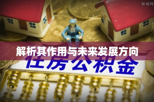 新密解析其作用与未来发展方向