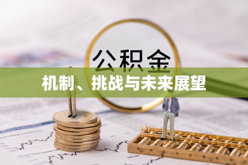 永靖机制、挑战与未来展望